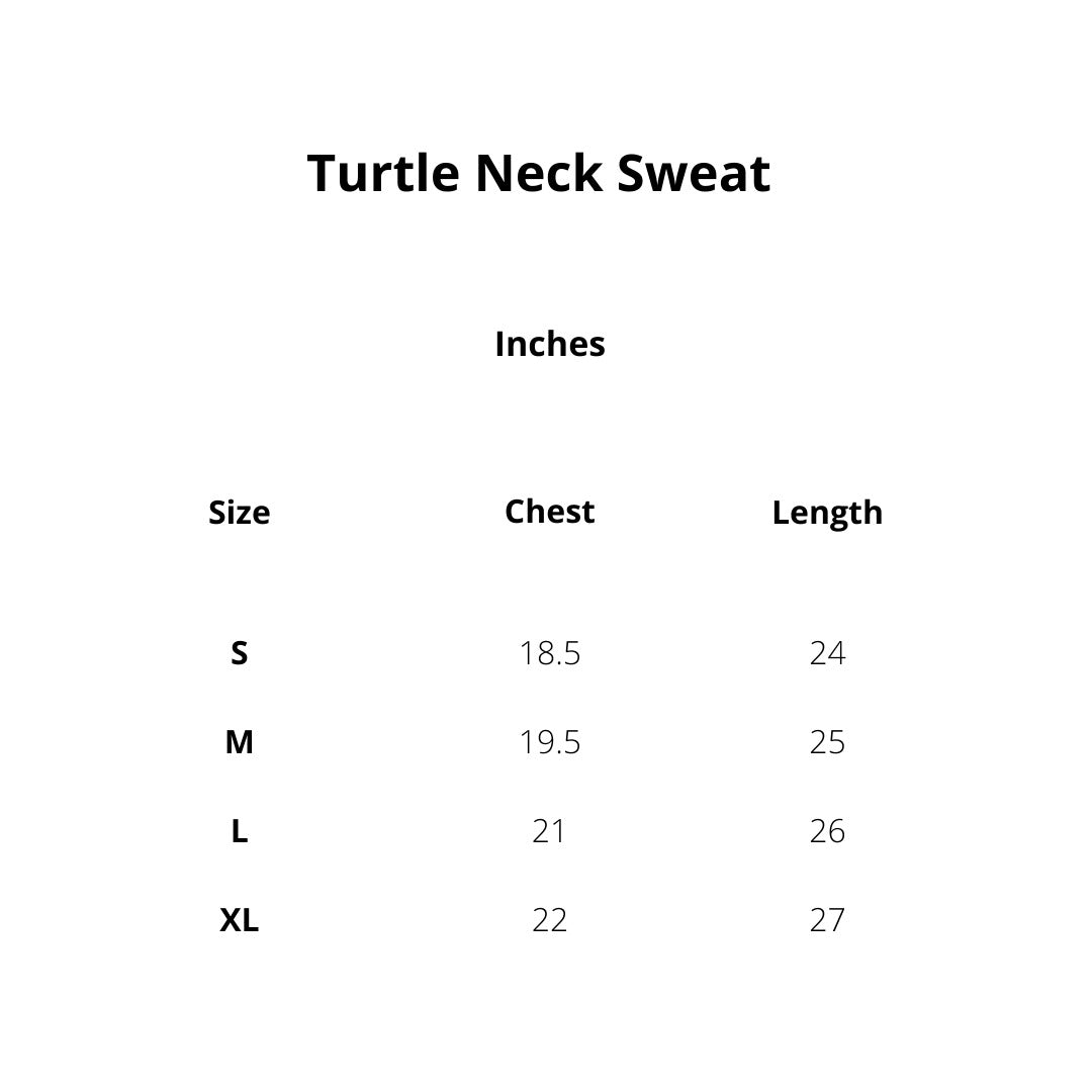 ZR Rib Cotton Turtle Neck Sweat – Charcoal
